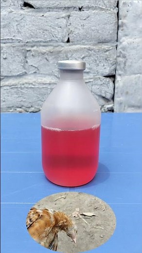 Vitamin E Selenium inj | Recognise and Treat Vitamin E Selenium Deficiency in Chickens | Dr. ARSHAD