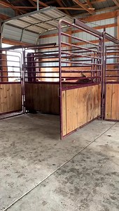 14K views · 118 reactions | Pregnancy checking elk…it’s almost like working cattle. #schaefervetservice #pregnancychecking #elk Caden Mau | Schaefer Veterinary Service | Facebook