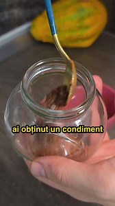Nu mai arunca cojile de ceapa si usturoi ci transforma-le intr-un condiment. Spala cojile, usuca-le intr-un prosop apoi baga-le la cuptor la 160 de grade 5 minute, inchide cuptorul si lasa-l sa se raceasca cu cojile inauntru. Blenduieste cojile, adauga sare si boia si gata ai obtinut un condiment pentru cartofi prajtiti. #stiaica #invatapetiktok #ceapa #usturoi #condiment | Alex Hada
