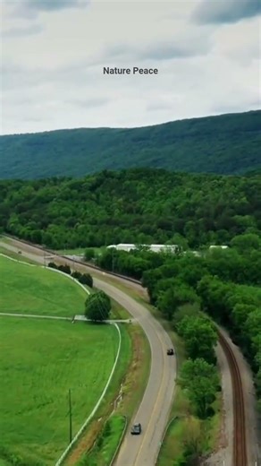 Nature #nature #meditation #relaxing #stressrelief #naturepulse #travel #naturesounds #birds #peace