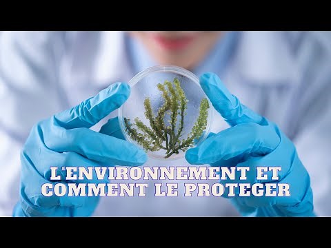 L'environnement et comment le proteger