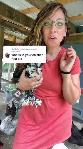 Essential First Aid Tips for Keeping Chickens Healthy