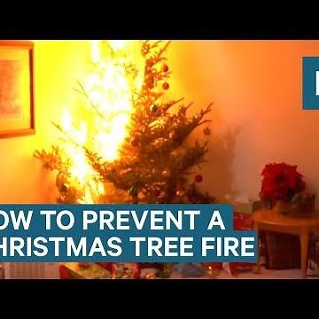 How To Prevent A Christmas Tree Fire This Year