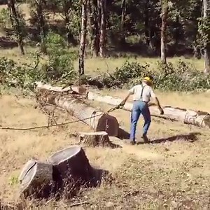 29 reactions · 3 comments | Learn all about logging and CHOKER SETTING on the channel. Link is in the comments. #essentialcraftsman #logging #dc6 #chokersetting #oaktree #fallingtrees #giantoak #choker #greatscott | Essential Craftsman | Facebook