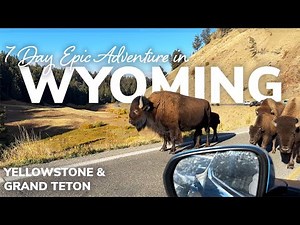 Our Epic Wyoming Road Trip: Yellowstone & Grand Teton in 7 Days!