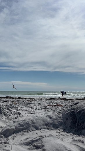 the first turtle i made 🌴