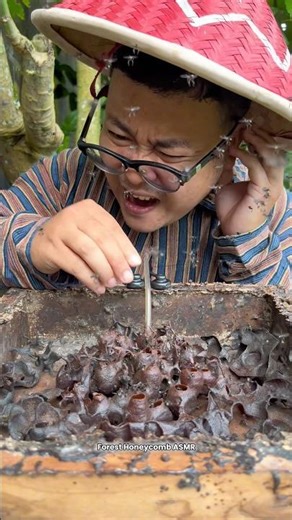 ASMR Drinking Wild Stingless Bee Honey Pots - 103 🍯🐝 #shorts #asmr