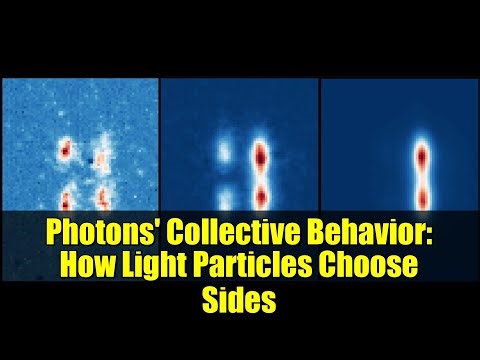 Photons' Collective Behavior: How Light Particles Choose Sides