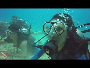 SCUBA Diving in Honolulu | Reef Sharks, Sea Turtle & Manta Ray Encounter