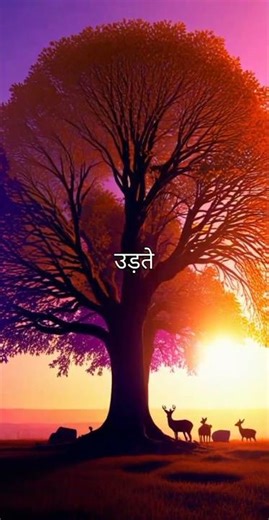 How to Boost Ads on Facebook – Step by Step Guide 2025