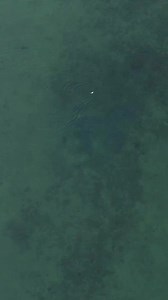 22K views · 215 reactions | Smallies on topwater hit different  #MEGALive #Humminbird #LiveSonar #SmallmouthBass #Bassfishing | Humminbird | Facebook