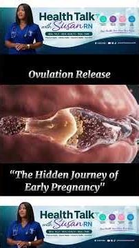 Pregnancy: the Journey from fertilization to Baby development