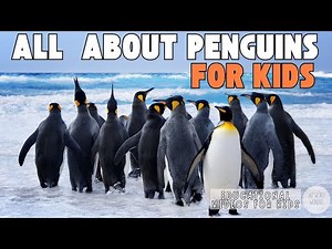 All About Penguins For Kids | Educational Videos For Kids