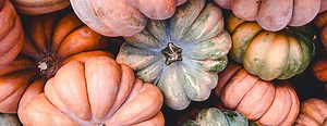 Comment tailler les courges et potirons ?