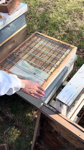 Adding Queen Excluders and Honey Supers