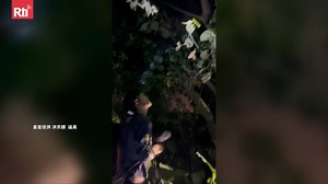 Green iguanas continue to damage crops and cause public concern in Southern #Taiwan. The Agriculture Ministry may raise removal fees to NT$800 (US$24.50) per catch to incentivize trained hunters. | Radio Taiwan International | Facebook