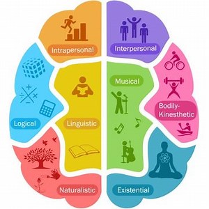 Intelligence Preference