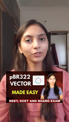 Botany Bloom on Instagram: "Most Important and Most Repeated Concept ✅ pBR322 Do watch simplified video of pBR322 in my youtube channel "Botany Bloom" . . . . . . . #neet #igreels #kcet #igreach #karnataka #kannadareels #trendingreels #explorepage #karnatakapuboard #boardexam #biology #class12 #neet2026 #botanybloom"