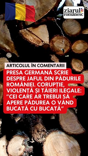 România adăpostește una dintre ultimele păduri virgine ale Europei, de două ori mai mari decât Saarlandul german. Un reportaj cutremurător despre cum mafia lemnului distruge ultimele păduri virgine ale Europei…. | Ziarul Romanesc Austria