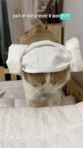 Skilled Cat | New ViralGadgets, Smart Appliances, KitchenUtensils/ Home Inventions