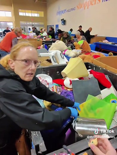 Thrilling Finds at Goodwill Bins for Resellers!