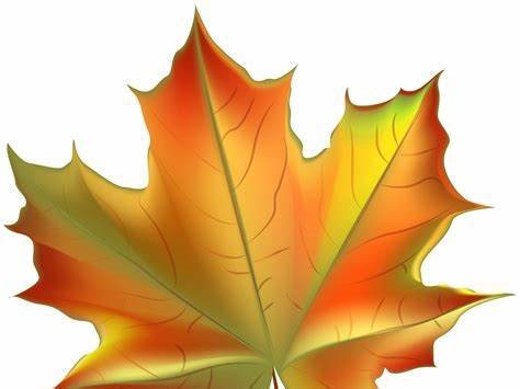 The Leaf Thief by Alice Hemming | Teaching Resources