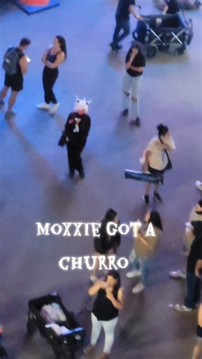 Helluva boss cmv (STATE FAIR EDITION) new video is up on my YT channel!!🥳😁 Loona: @closetedcosplay_ Millie: @y0urfav0ritetrashm0uth Moxxie: @404.max.not.found Target: @blue_marsian #helluvaboss #helluvabosscosplay #hellaverse #loonahellhound #blitzo #milliehelluvaboss #moxxiecosplay | Cositsmarie