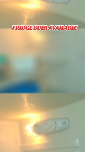 How to Replace Your Fridge Bulb Easily