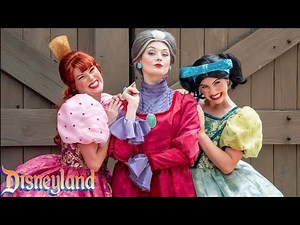 Lady Tremaine & Her Daughters: Disney’s Cruelest Family
