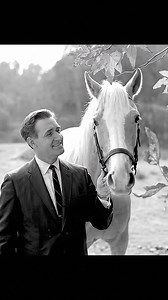 Mister Ed was a popular 1960s TV series (1961–1966) built around the unusual idea of a talking horse. The show starred Alan Young as Wilbur Post, an architect who discovers that his horse, Mister Ed, can talk—but only to him. Mister Ed was played by the Palomino horse Bamboo Harvester and voiced by Allan Lane. Known for his wit and mischievous behavior, Mister Ed often caused trouble while offering clever advice. The “talking” effect was created using clever training methods, and the show’s them
