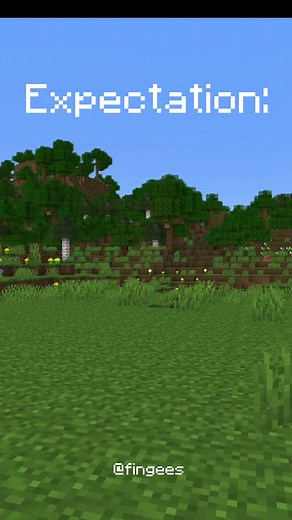 Falling in #minecraft: expectation vs reality #minecraftmemes #fypシ