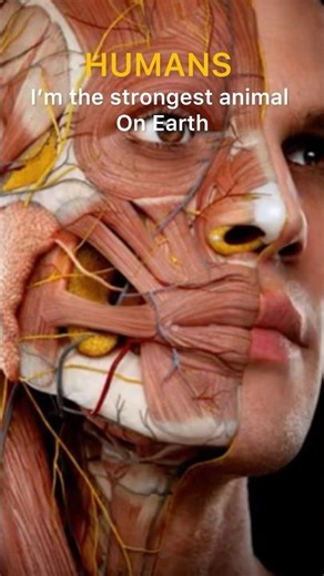 Human vs most deadliest disease!! 🦠☠️…#science #virus #humanity #shorts #viral