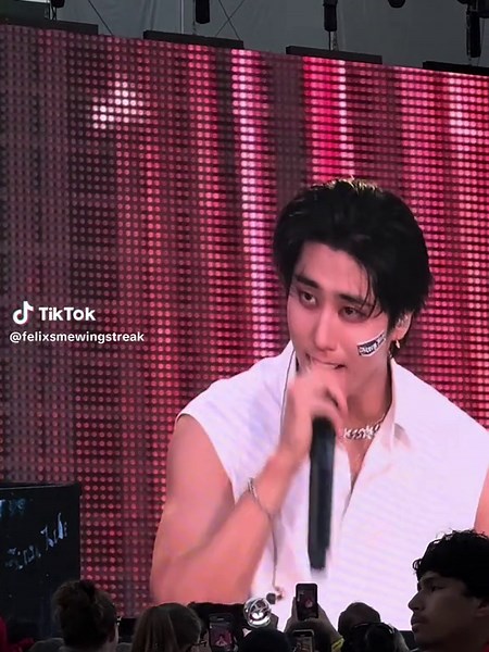 Han's Charming Smirk: A Stray Kids Moment