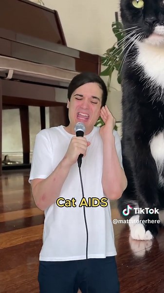 My Cat's Theme Song: A Fun Musical Tribute