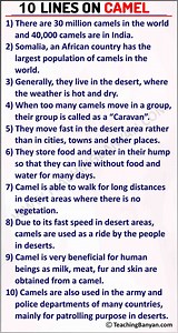10 Lines on Camel in English for Children and Students of Class 1, 2, 3, 4, 5, 6