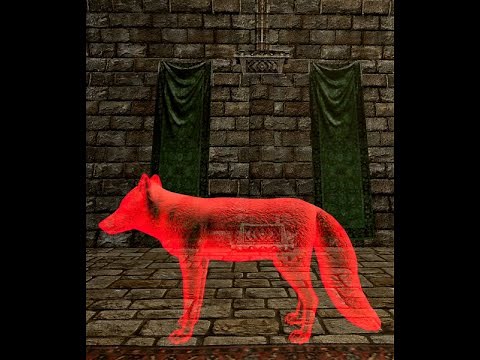 Project: Gorgon - Becoming A Spirit Fox Guide