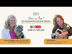 The Healing Benefits of PEMF Therapy: How It Works and Its Benefits for Pets