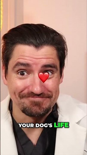 SAVE Your Dog's Life: What is Gastropexy? #shorts