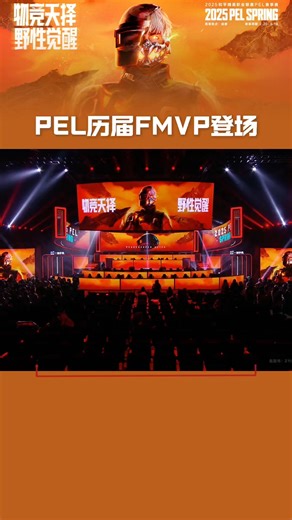 PEL历届FMVP登场