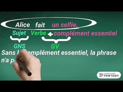 Les compléments essentiels