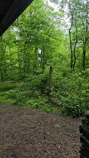 6K views · 236 reactions | This Little Birdie Didn't Like Me Hanging...