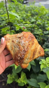 6.2K views · 153 reactions | kona coffee purveyors #hawaii #oahu #waikiki #coffee #fyp | I Love Hawaii | Facebook