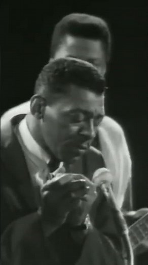 The Last Performance | Film Inspiration | Little Walter | #shorts #music #harmonica