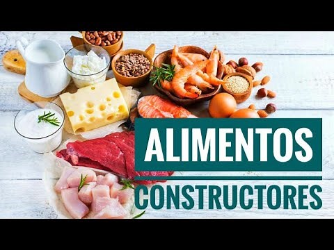 CUALES SON LOS ALIMENTOS CONSTRUCTORES Y SUS BENEFICIOS