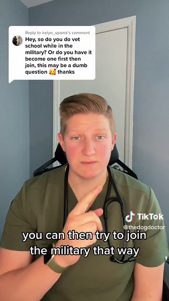 Becoming an Army Veterinarian: Steps and Requirements