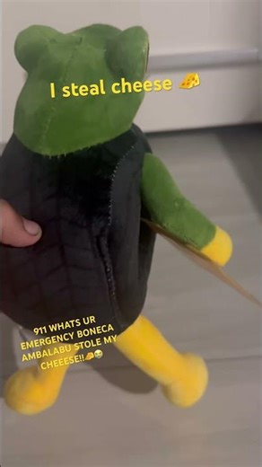 I steal cheeeeeeeee #helpmemakethismakesense #bonecaambalabu