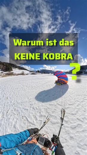 Warum das KEINE KOBRA ist ?