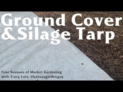 How to Use Silage Tarp in a Hoop House | Kill Cover Crop Without Herbicides