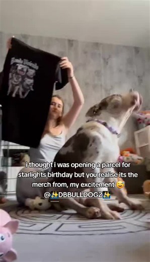 why do.i sound like a kid at Christmas, I've been so excited for this, thank you so much @✨️DB BULLDOGZ ✨️ ❤❤ #excitingtimes #fyp #dogsoftiktok #xlbully #bullybreeds