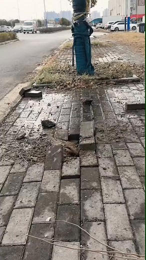 Energy-Saving Hacks: Because Who Doesn’t Love Lower Bills? #EnergySaving #EcoFriendly #HomeImprovement #SustainableLiving #SmartHome | Home Decor Magic